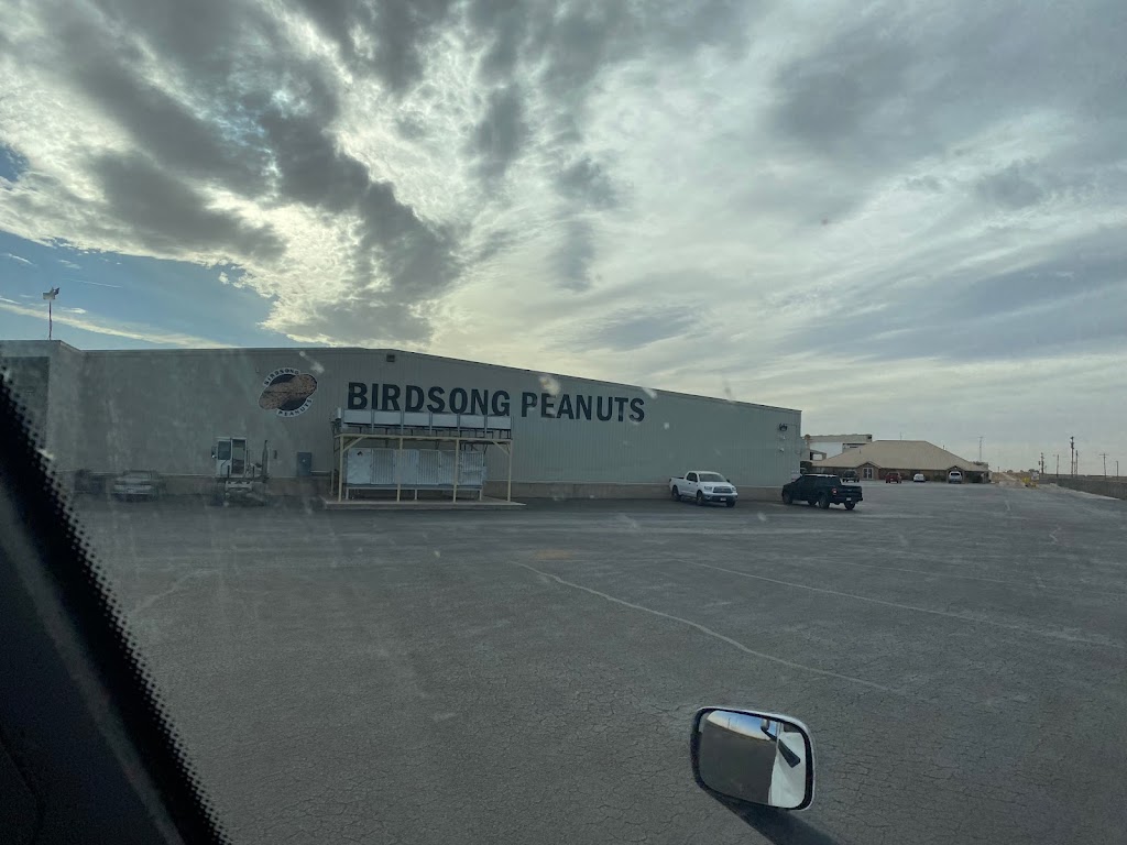 Birdsong Peanuts | 1564 County Rd 474, Brownfield, TX 79316, USA | Phone: (806) 637-1800
