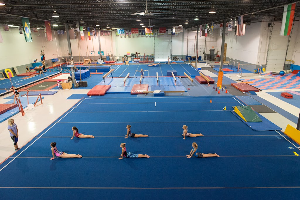 Euro Stars Gymnastics | 47576 Halyard Dr, Plymouth, MI 48170, USA | Phone: (734) 737-9500