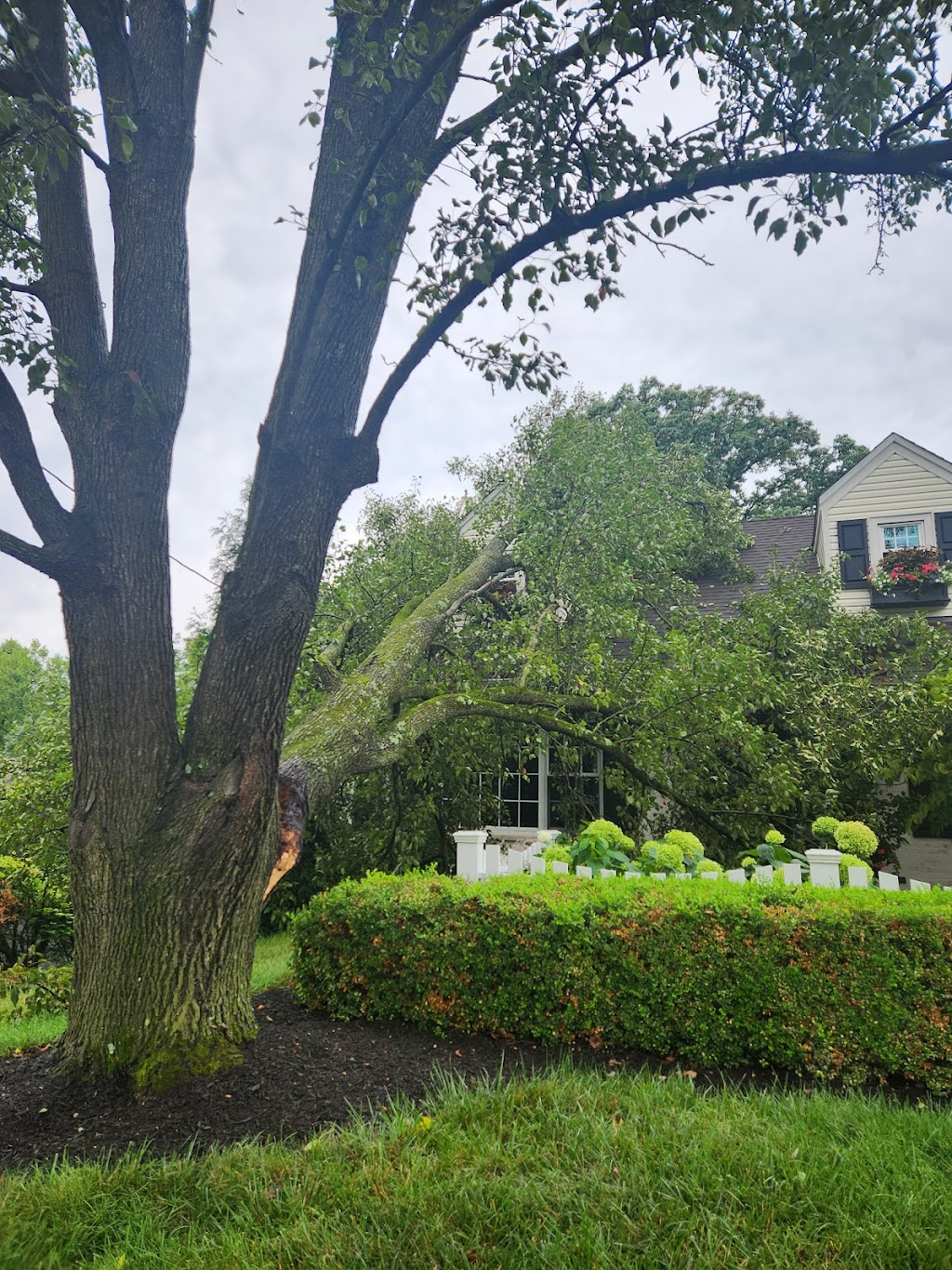 Gregory Forrest Lester Inc | 7798 Reading Rd Suite E, Cincinnati, OH 45237, USA | Phone: (513) 351-6100