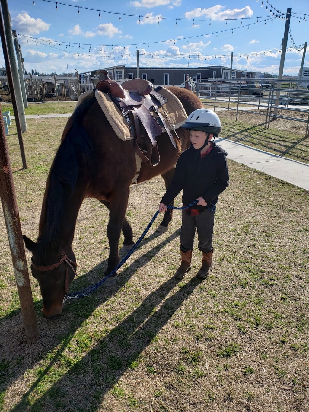 SpiritHorse Connections | 12099 E Stroud Ave, Kingsburg, CA 93631, USA | Phone: (559) 393-1948