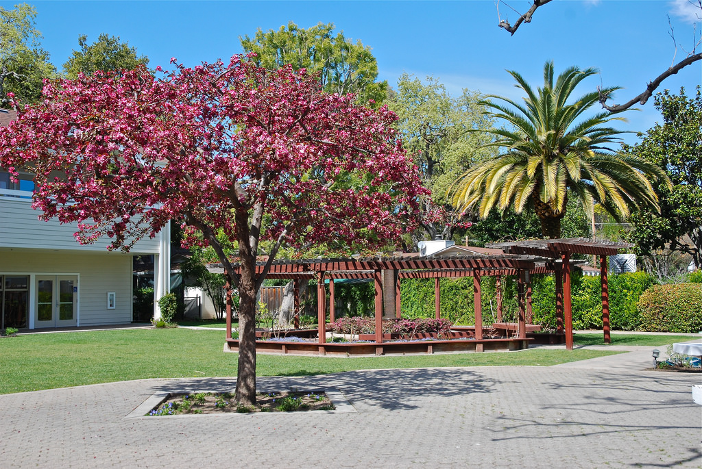 Trinity Church in Menlo Park (An Episcopal Community) | 330 Ravenswood Ave, Menlo Park, CA 94025, USA | Phone: (650) 326-2083