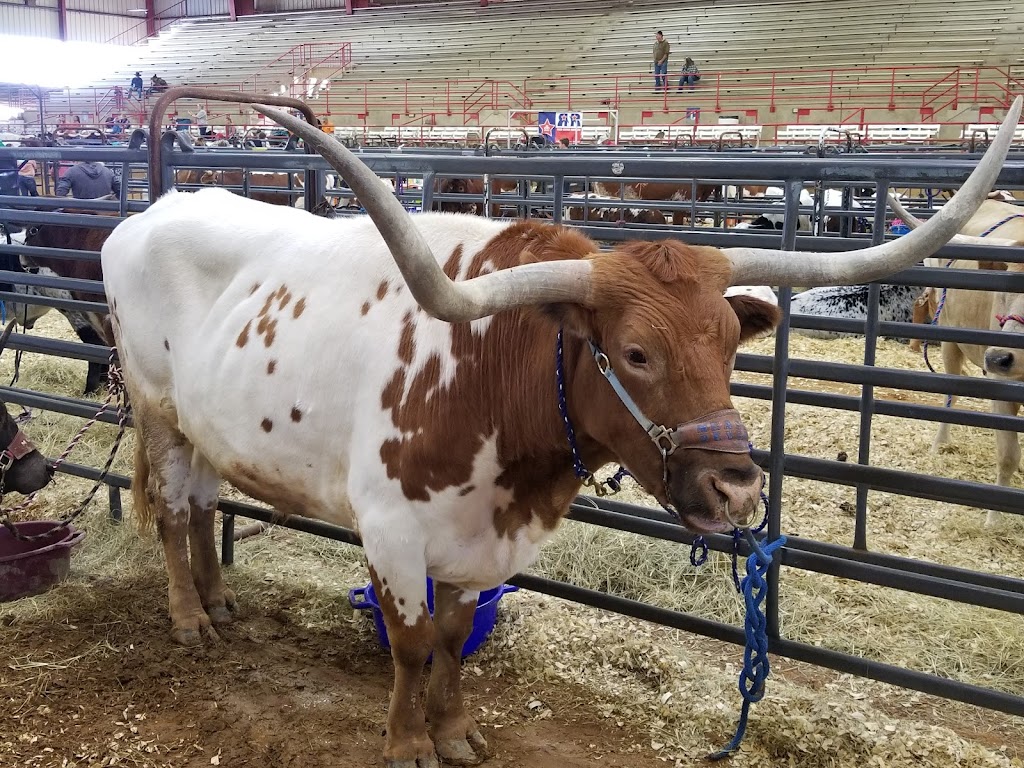 Norris Longhorns | 2506 N, TX-34, Kaufman, TX 75142, USA | Phone: (972) 533-4945