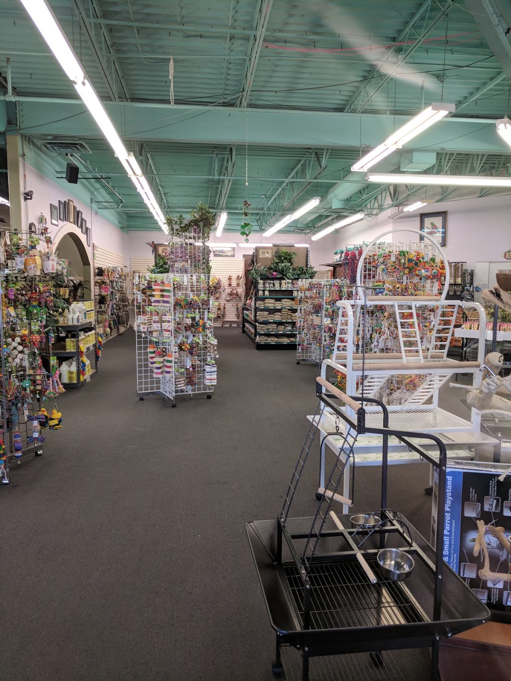 Varietees Exotic Bird Store | 60 Meramec Valley Plaza, Valley Park, MO 63088 | Phone: (636) 225-2473