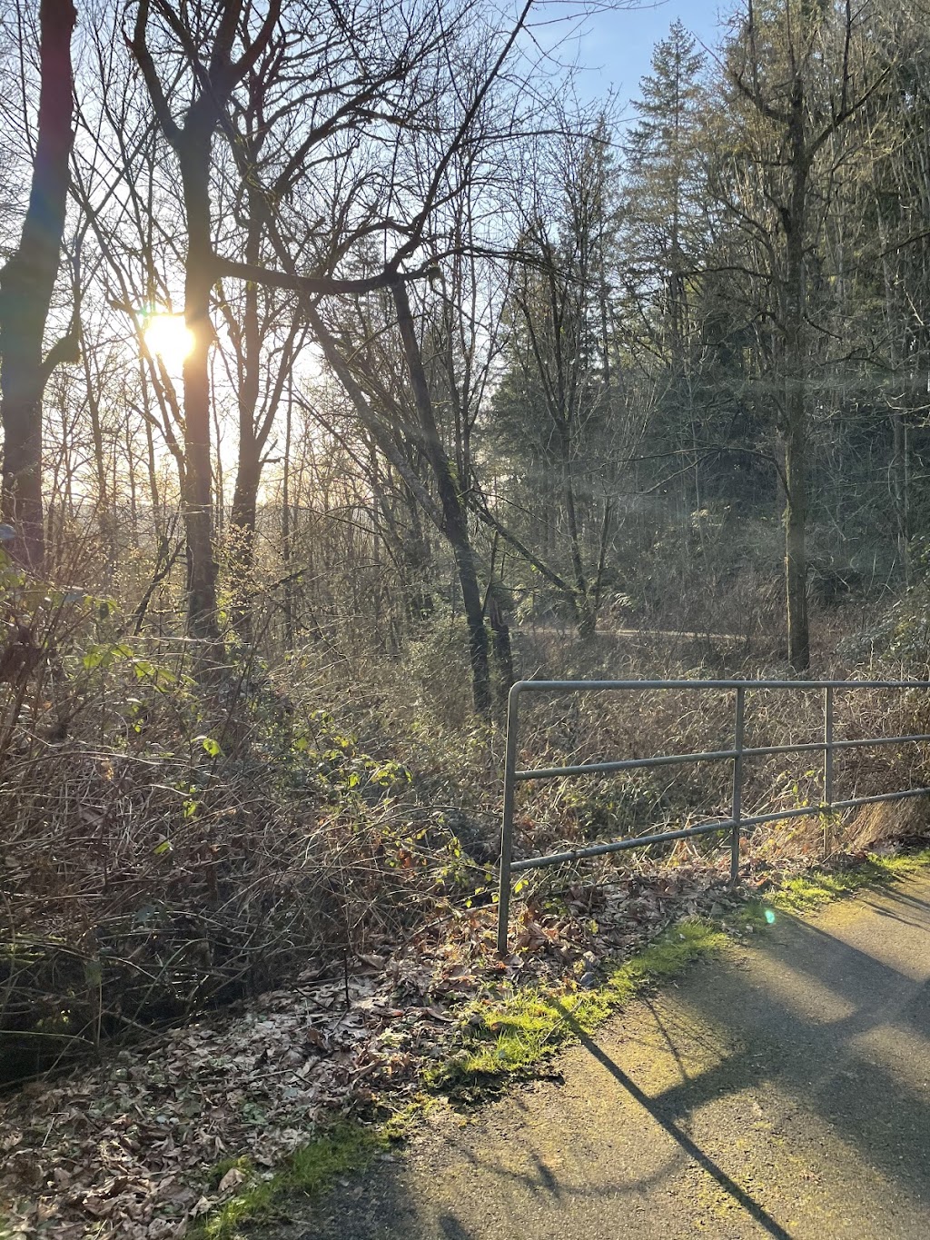 277th Street Corridor Trail | 27459 108th Ave SE, Kent, WA 98030, USA | Phone: (253) 856-5504