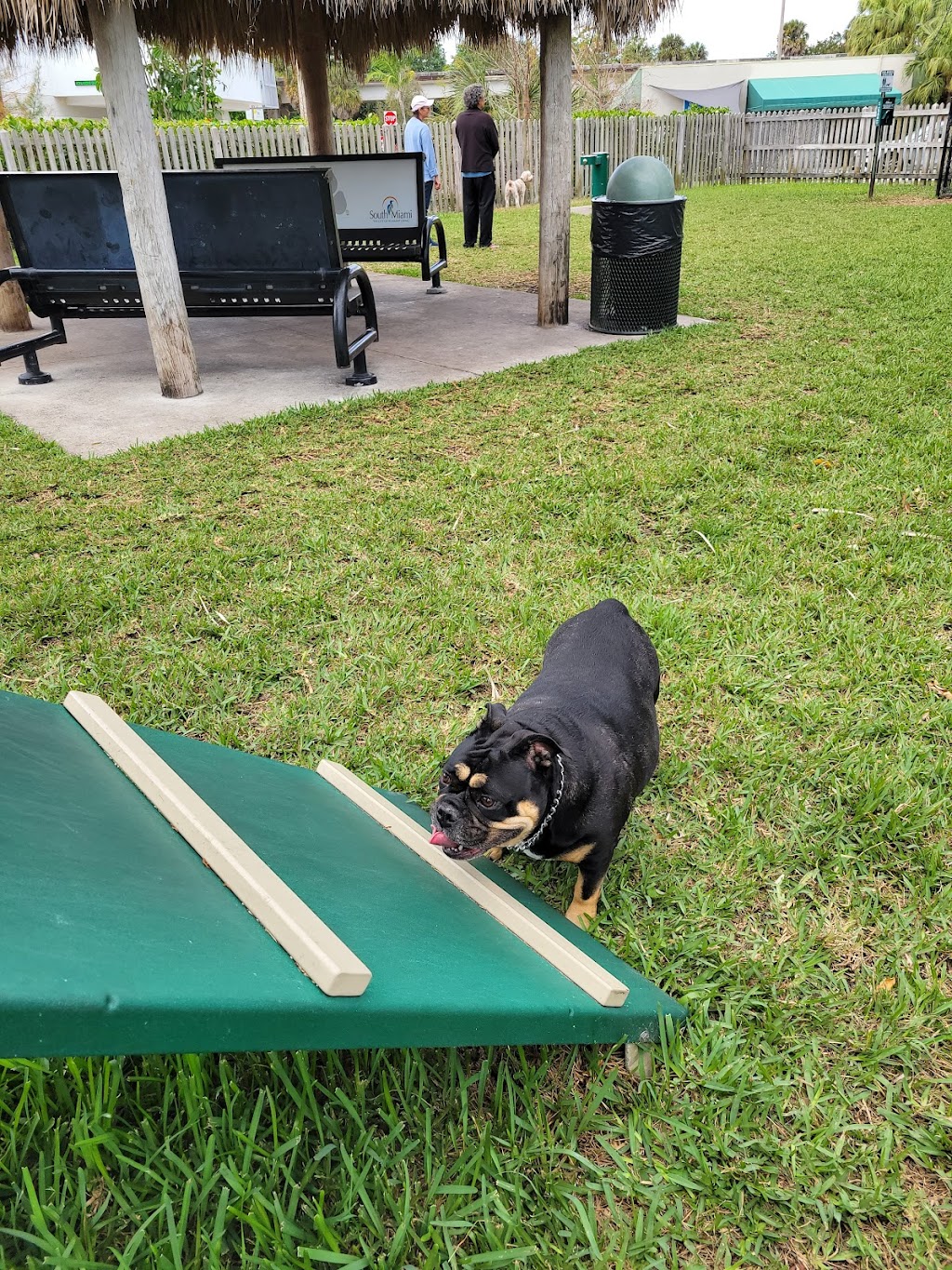 South Miami Dog Park | 6380 SW 78th St, South Miami, FL 33143, USA | Phone: (305) 668-3876