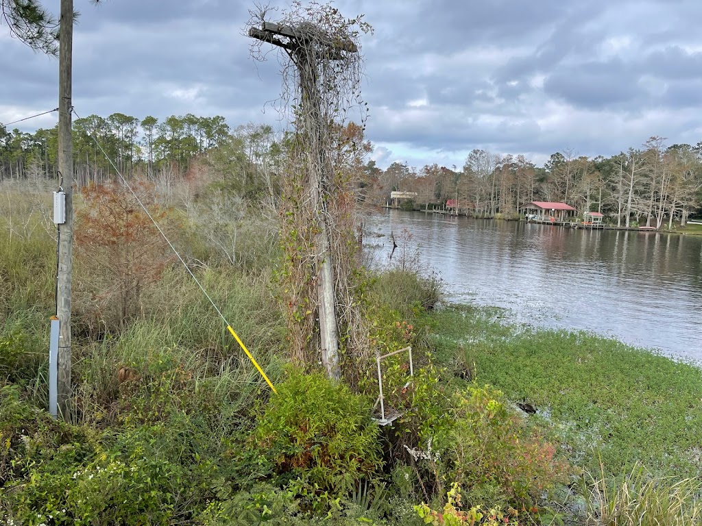 St Tammany Parish Trailhead | 28452 Balehi Rd, Lacombe, LA 70445 | Phone: (985) 882-3486