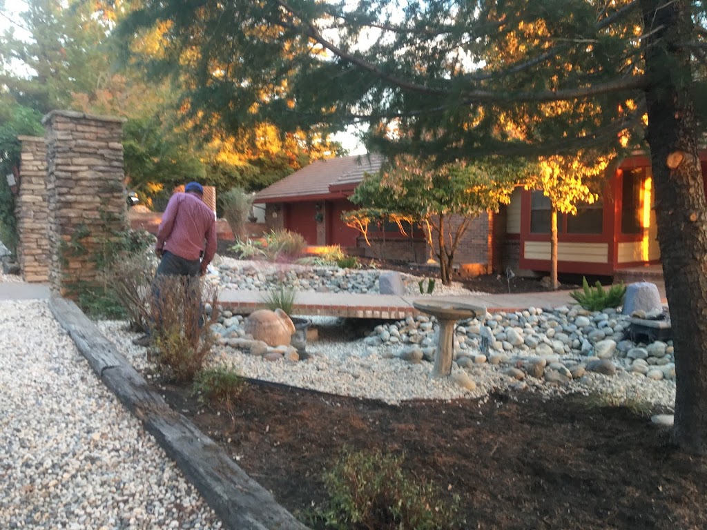 VB Garden | 7780 Southbreeze Dr, Sacramento, CA 95828, USA | Phone: (916) 730-3770