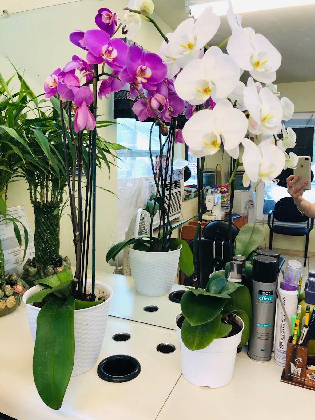 A-Barber | 4276 Williams Rd, San Jose, CA 95129, USA | Phone: (408) 623-6037