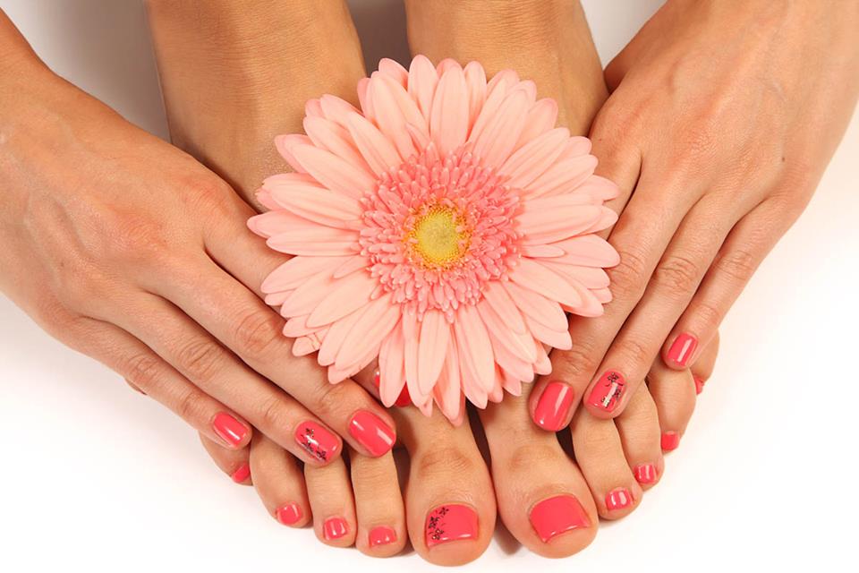 LV Nails Spa | 1125 W North Carolina 54 STE 403, Durham, NC 27707, USA | Phone: (919) 493-2888