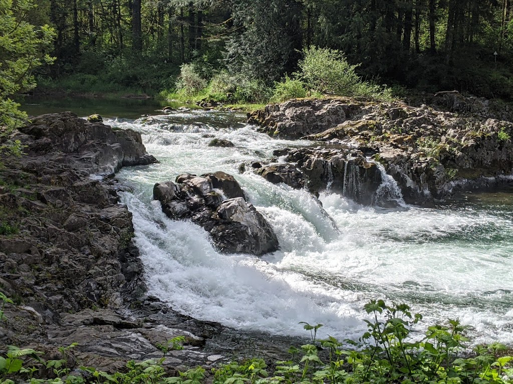 Lucia Falls Regional Park | 21803 NE Lucia Falls Rd, Yacolt, WA 98675, USA | Phone: (360) 397-2446