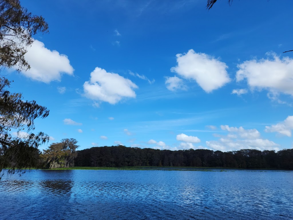 Lake Townsen Preserve | 28011 Lake Lindsey Rd, Brooksville, FL 34601, USA | Phone: (352) 754-4031