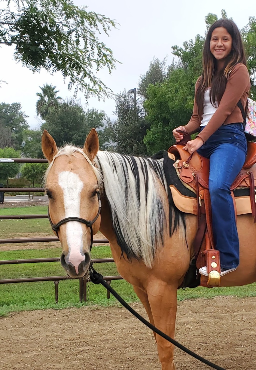 Holleys Horseback Rides for Parties | 918 Iron Horse Dr, San Marcos, CA 92078, USA | Phone: (808) 953-4883