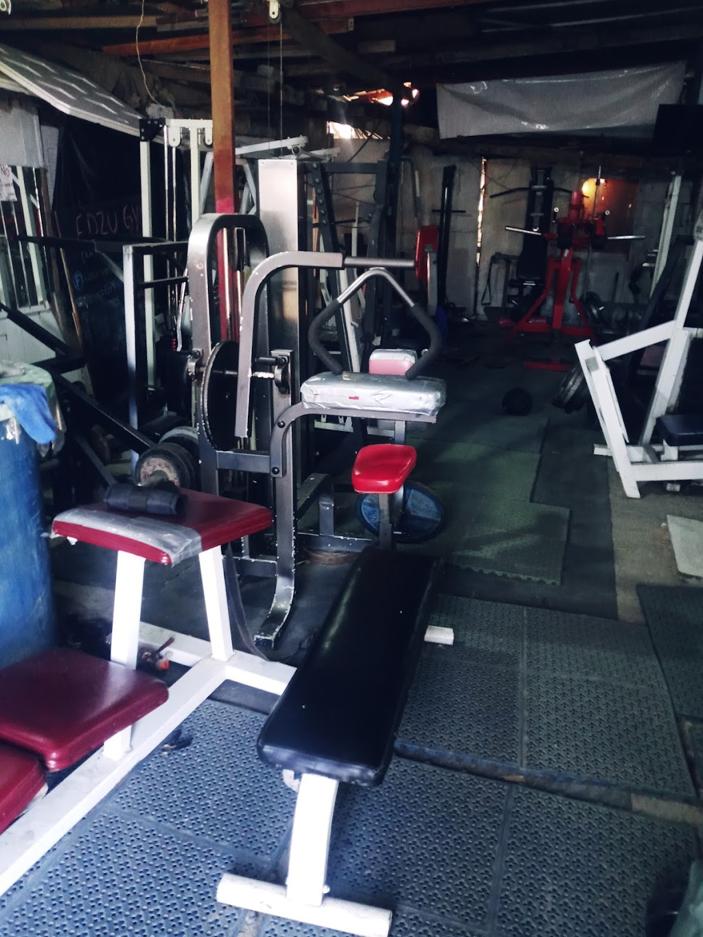 Edzu GYM & Fitness | 22330 Tijuana, Baja California, Mexico | Phone: 664 367 4559