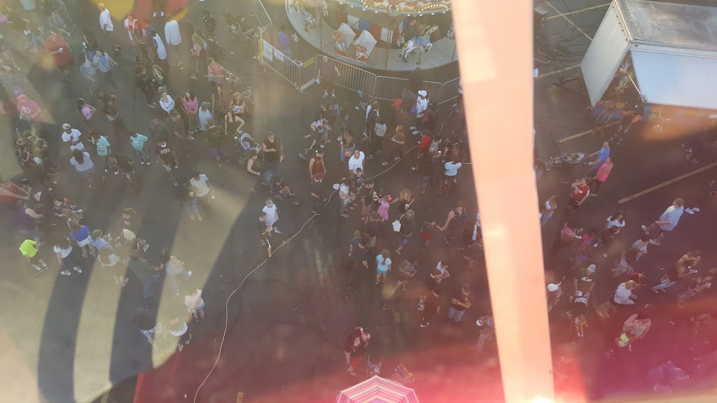 Immaculate Heart of Mary Roman Catholic Parish | 4490 Norquest Blvd, Austintown, OH 44515, USA | Phone: (330) 793-9988