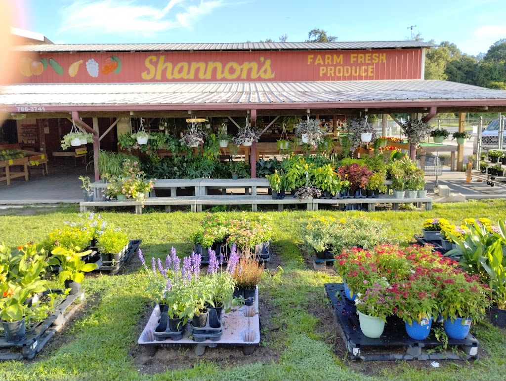 Shannons Produce | 36453 Eiland Blvd, Zephyrhills, FL 33541, USA | Phone: (813) 782-9455