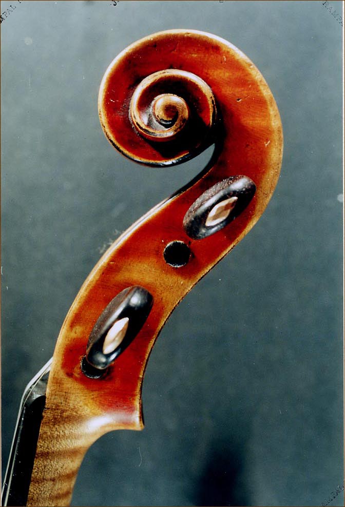 Filimonov Fine Violins | Seattle, WA 98117, USA | Phone: (206) 789-4760