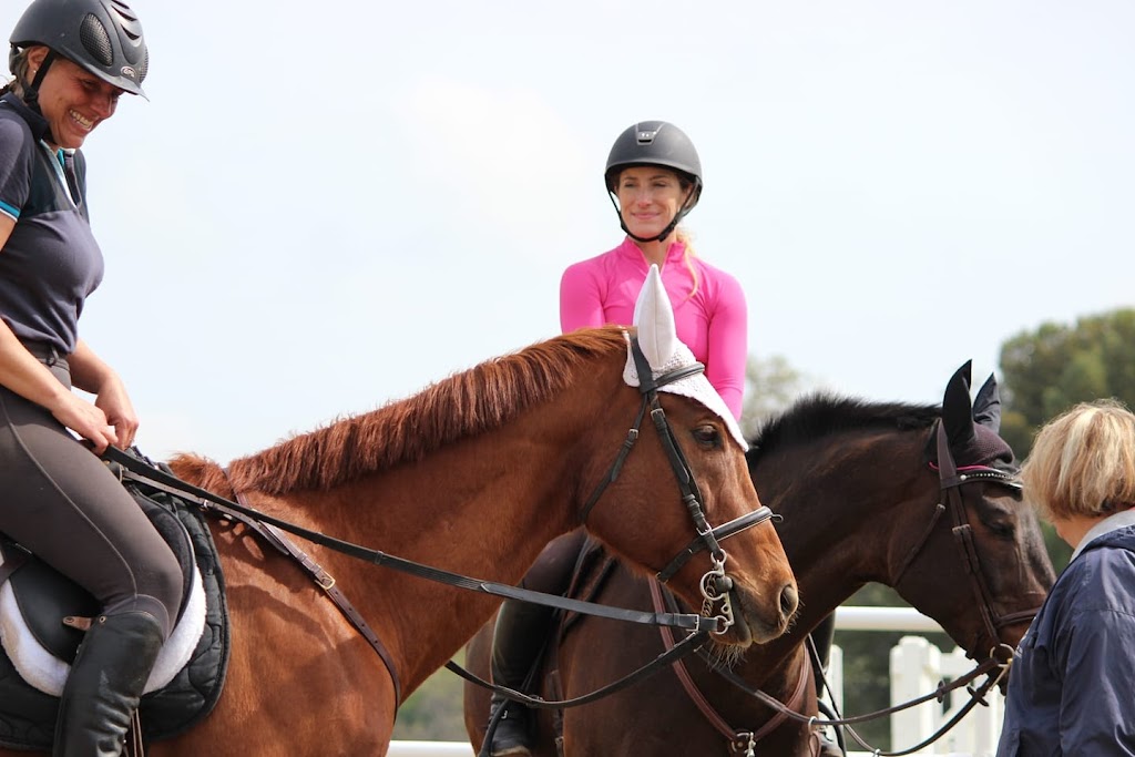 Equestrian Games Riding Academy | 17601 Marsh Creek Rd, Brentwood, CA 94513, USA | Phone: (510) 313-3171