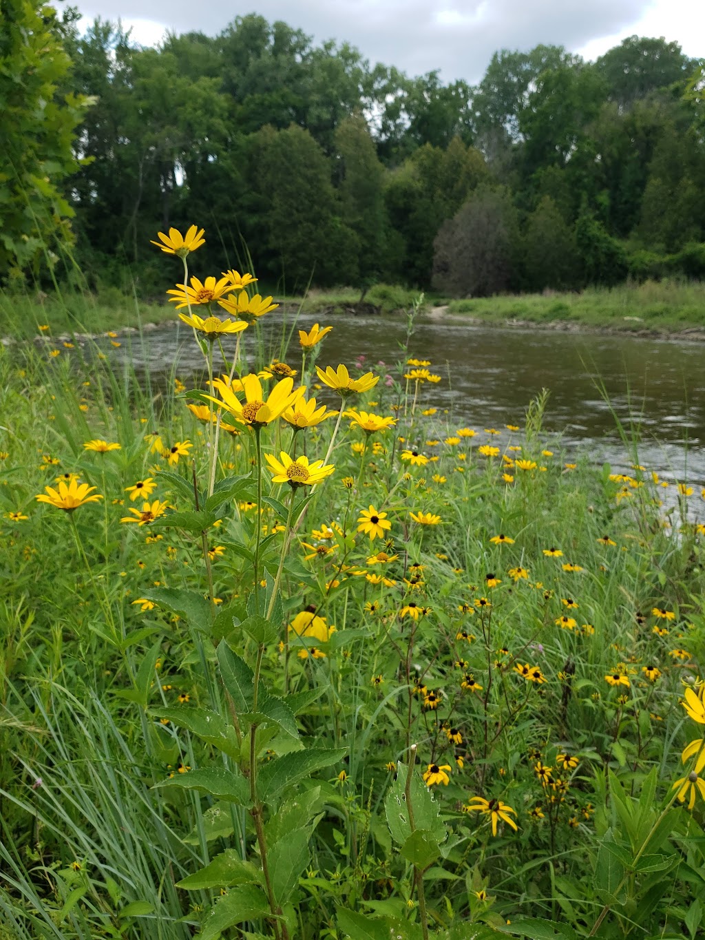 River Bends Park Fishing Site | 49354 Ryan Rd, Shelby Twp, MI 48317, USA | Phone: (586) 731-0300