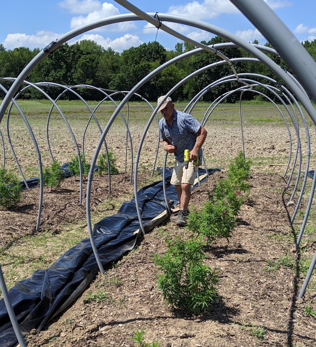 Hemp Haven Farms, LLC | 1506 Co Rd BB, Deerfield, WI 53531, USA | Phone: (608) 358-0709