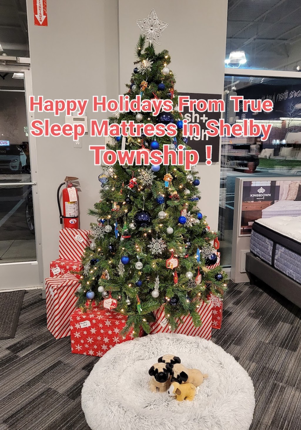 TrueSleep Mattress Store Shelby | 46975 Van Dyke Ave, Shelby Twp, MI 48317, USA | Phone: (586) 799-7264