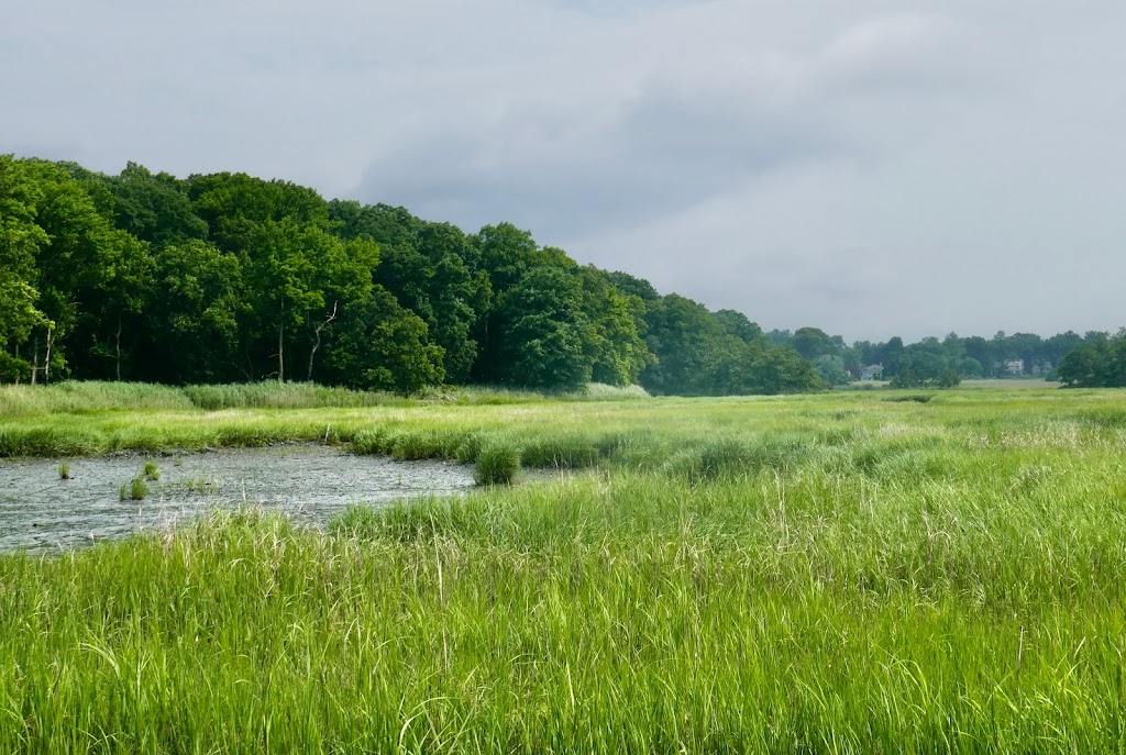 Marshlands Conservancy | 220 Boston Post Rd, Rye, NY 10580, USA | Phone: (914) 835-4466