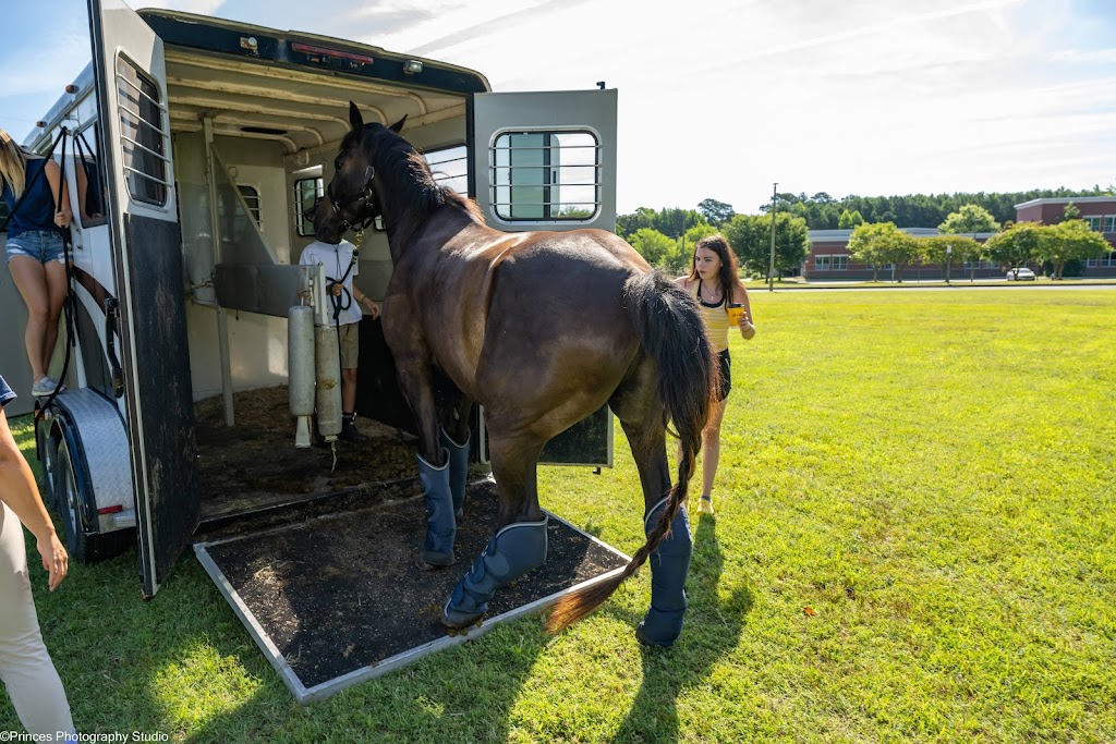 Topline Horse Center - Sunday