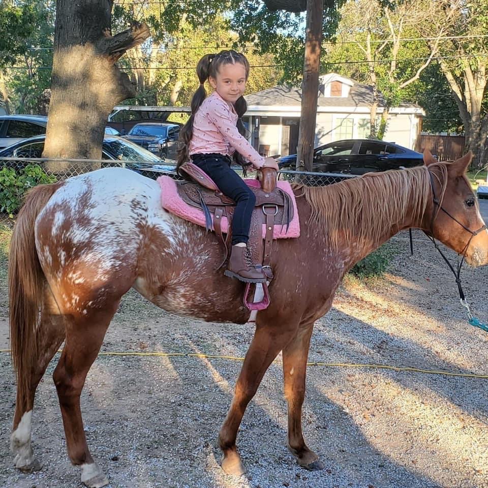 Air Ponies- DFW Mobile petting zoo,pony rides and more | 11470 Gordon Ln, Mabank, TX 75147, USA | Phone: (469) 441-1994