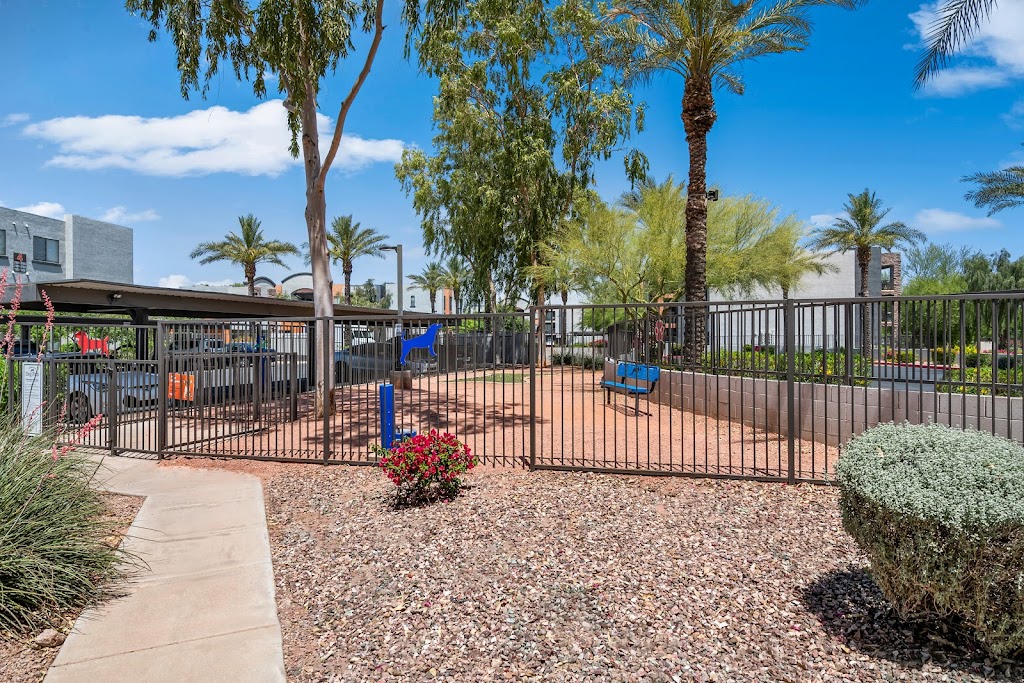 Harmony at Surprise Apartments | 15164 N 140th Dr, Surprise, AZ 85379, USA | Phone: (623) 400-3458