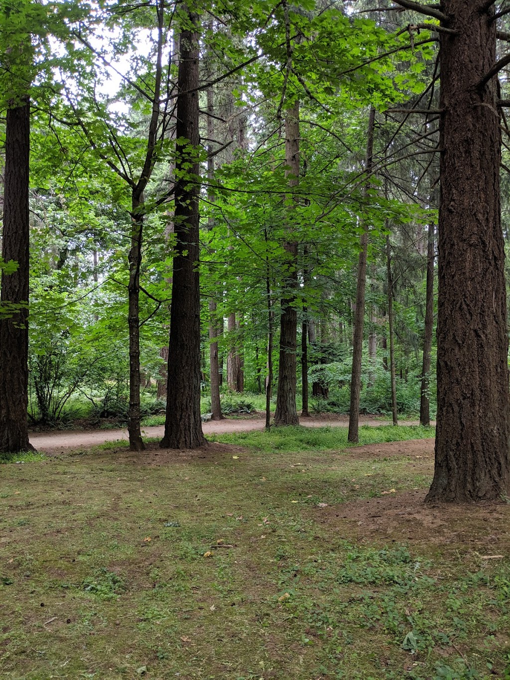 Orchards Highlands Neighborhood Park | 9310 NE 112th Ave, Vancouver, WA 98662, USA | Phone: (360) 397-2285