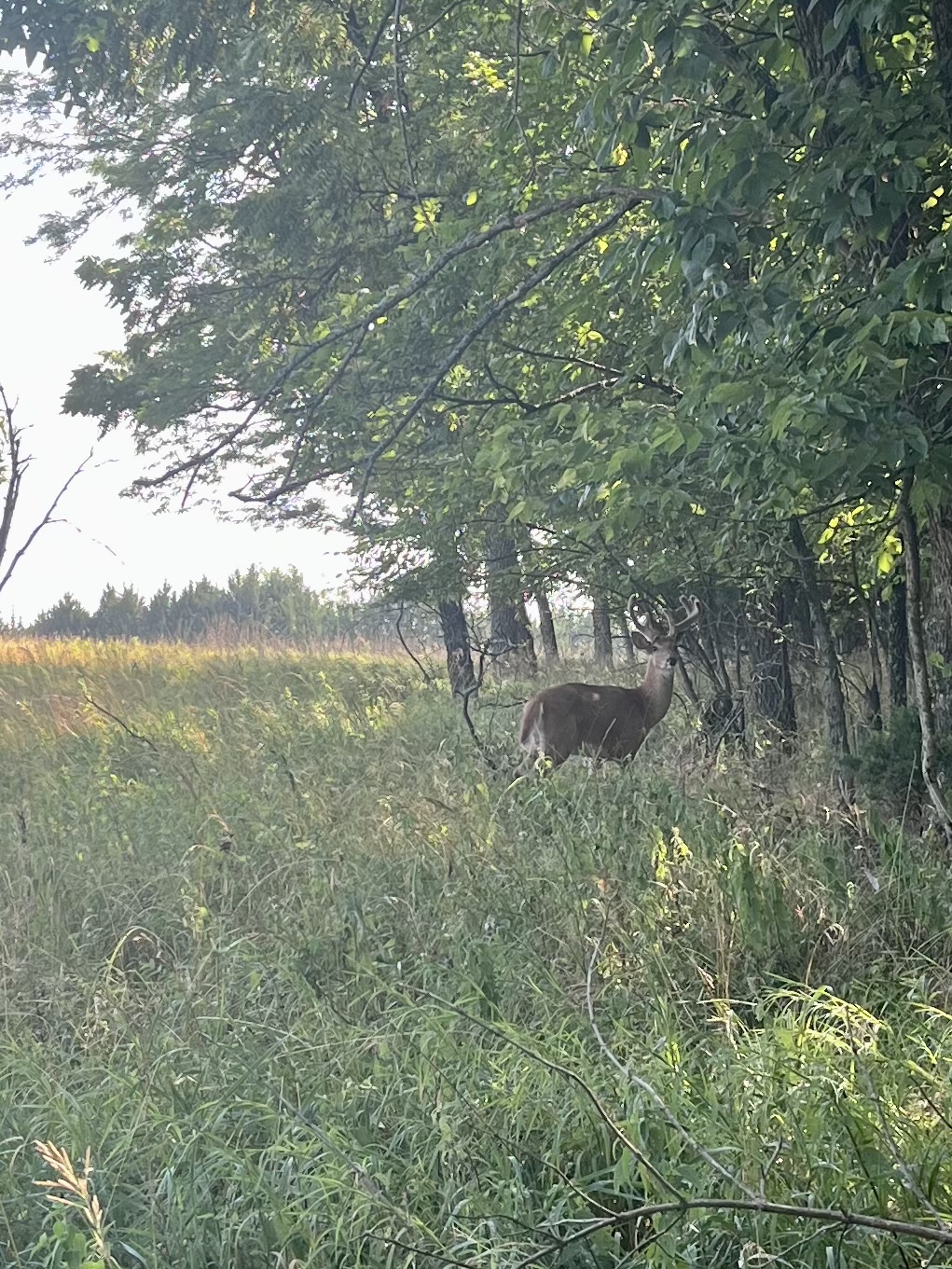 Ernie Miller Park & Nature Center | 909 North, KS-7, Olathe, KS 66061, USA | Phone: (913) 826-2800