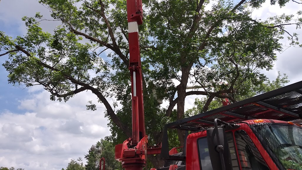 Schra Tree Care | 931 N Van Buren Ave, Loveland, CO 80537, USA | Phone: (970) 222-8442