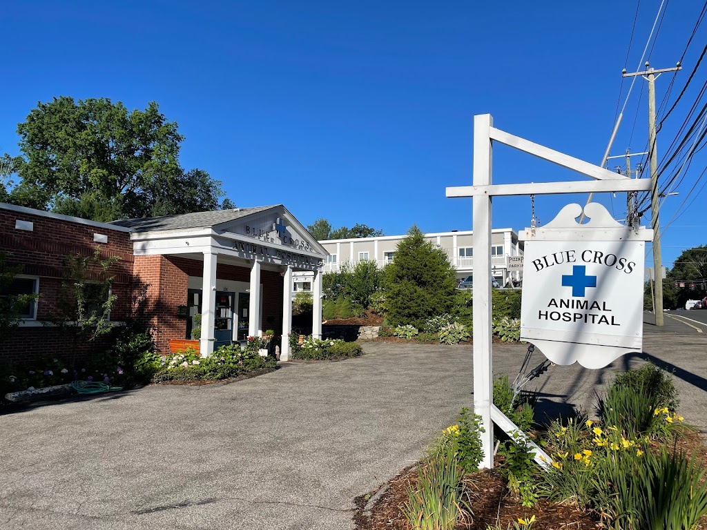 Blue Cross Animal Hospital | 530 E Putnam Ave, Greenwich, CT 06830, USA | Phone: (203) 869-7755