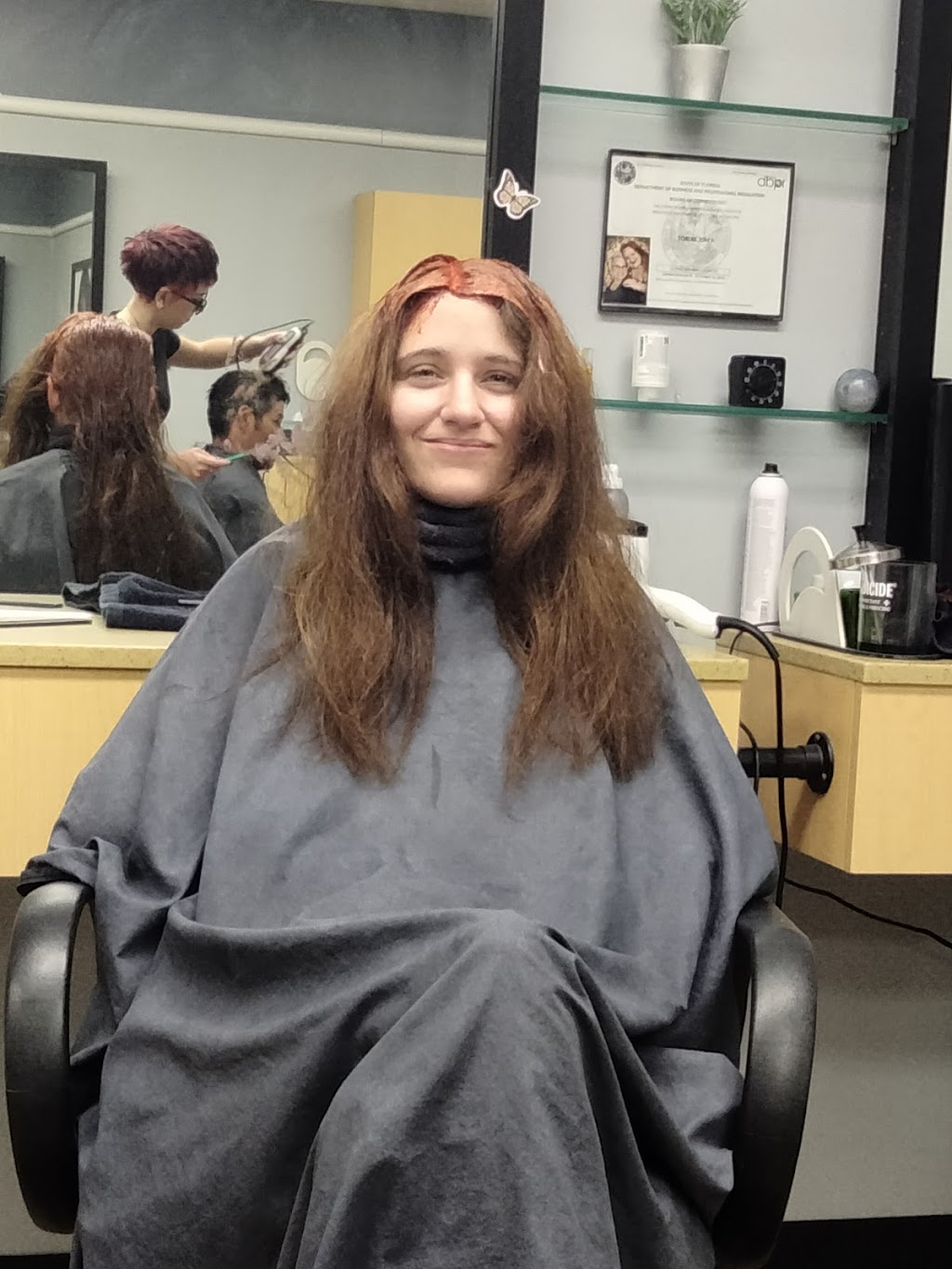 SmartStyle Hair Salon (17915) | 8701 Us Highway 19 Located Inside Walmart #1085, Port Richey, FL 34668, USA | Phone: (727) 847-2421