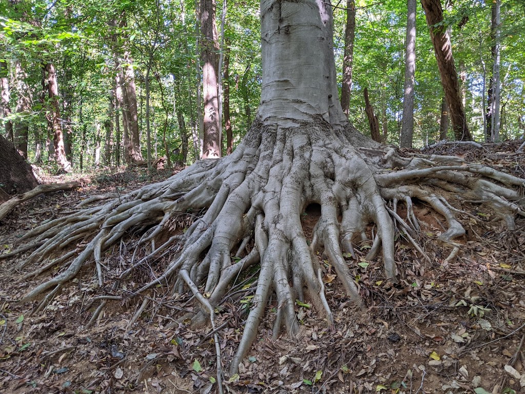 Potomac Overlook Regional Park | 2845 Marcey Rd, Arlington, VA 22207, USA | Phone: (703) 528-5406