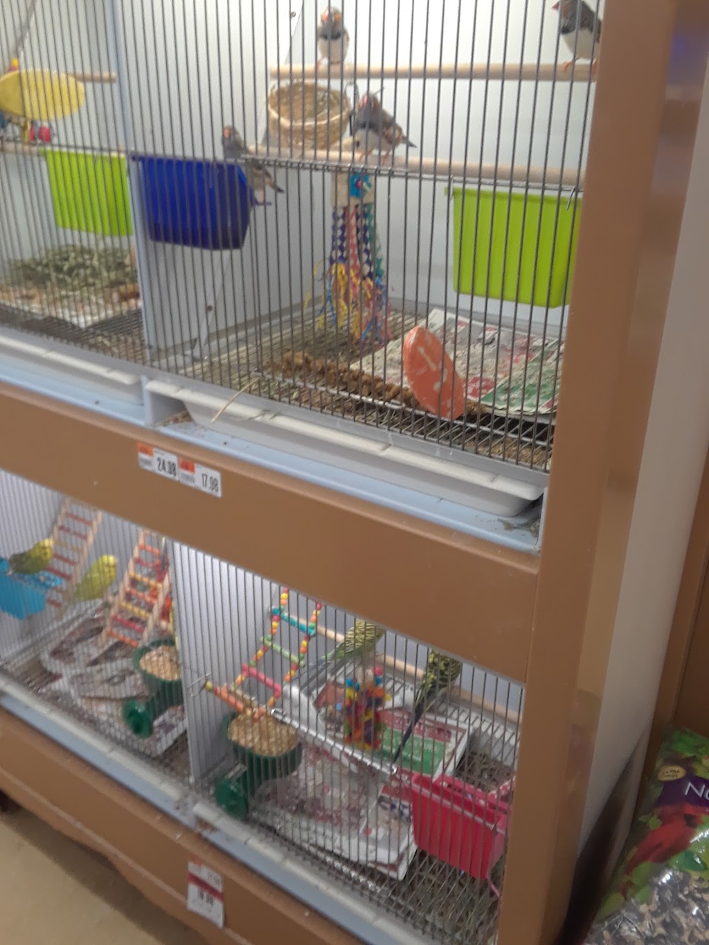 Pet Supplies Plus Clearwater | 1500 N, McMullen Booth Rd, Clearwater, FL 33759, USA | Phone: (727) 726-5544