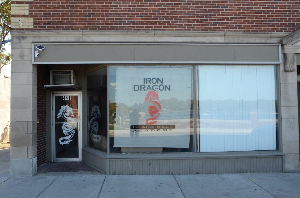 Iron Dragon Black Belt Academy | 441 E 3rd St, Hobart, IN 46342, USA | Phone: (219) 945-1958