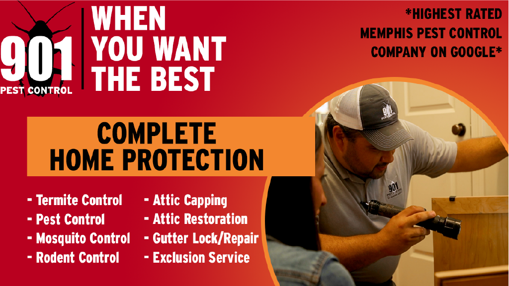 901 Pest Control | 453 Distribution Pkwy Suite 1, Collierville, TN 38017, USA | Phone: (901) 451-8787