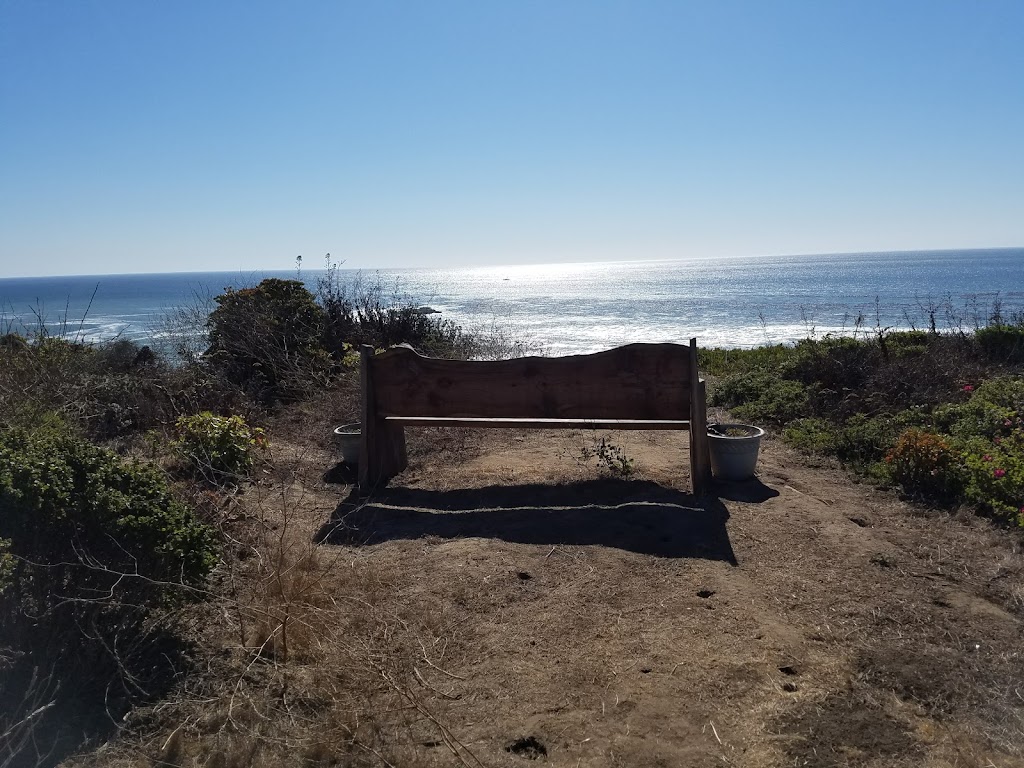 Half Moon Bay Coastside Tours | 225 Cabrillo Hwy S c108, Half Moon Bay, CA 94019, USA | Phone: (650) 720-7050