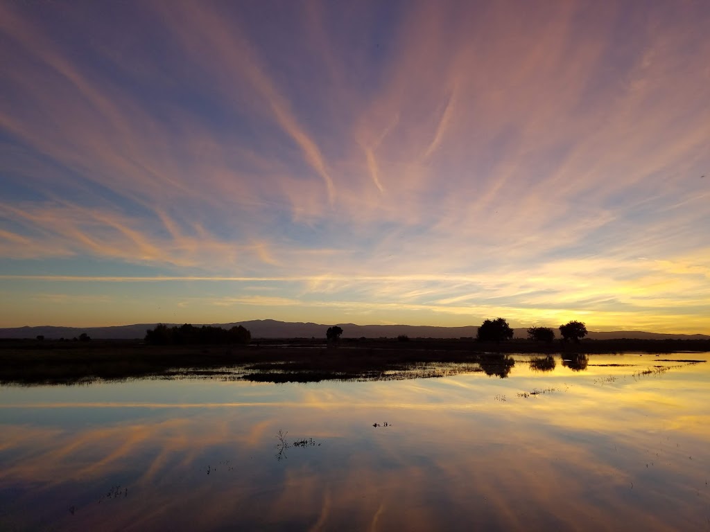 Beckwith Wildlife Observation Area | Beckwith Rd, Modesto, CA 95358, USA | Phone: (209) 826-3508