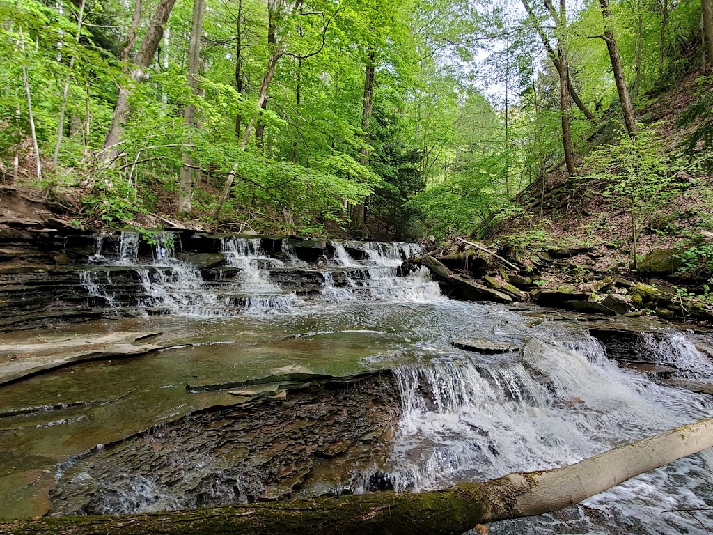 Penitentiary Glen Reservation | 8668 Kirtland Chardon Rd, Kirtland, OH 44094, USA | Phone: (440) 256-1404