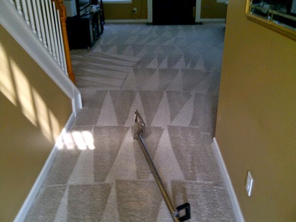 Stylish Carpet Cleaning | Flowery Branch, GA 30542, USA | Phone: (678) 725-1051