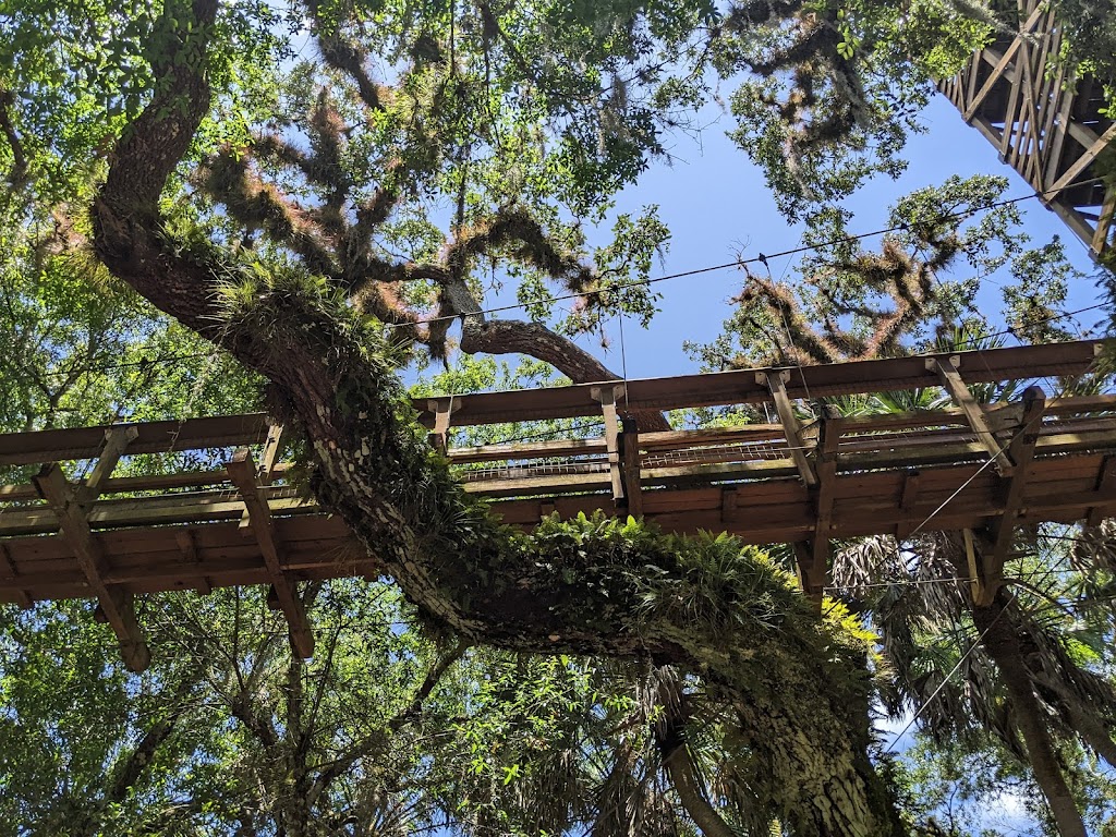 Myakka Canopy Walkway and Observation Tower | Sarasota, FL 34241, USA | Phone: (941) 361-6511