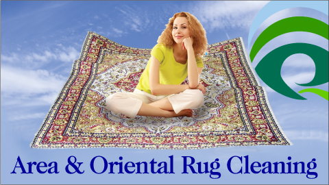 Quality Plus Cleaners | 2219 Collier Pkwy, Land O Lakes, FL 34639, USA | Phone: (813) 919-4121