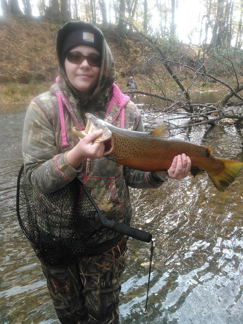 Lighthouse Motel | 1564 Van Buren St, Burt, NY 14028, USA | Phone: (716) 778-7270