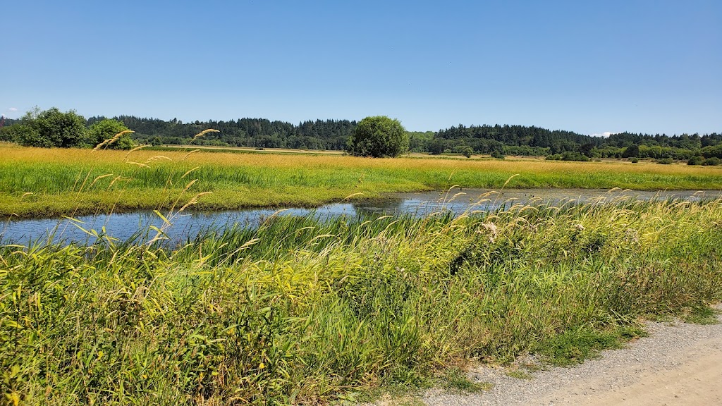 Ridgefield National Wildlife Refuge | 28908 NW Main Ave- Carty Unit & 1071 S Hillhurst Rd.- River S Unit, Ridgefield, WA 98642, USA | Phone: (360) 887-4106