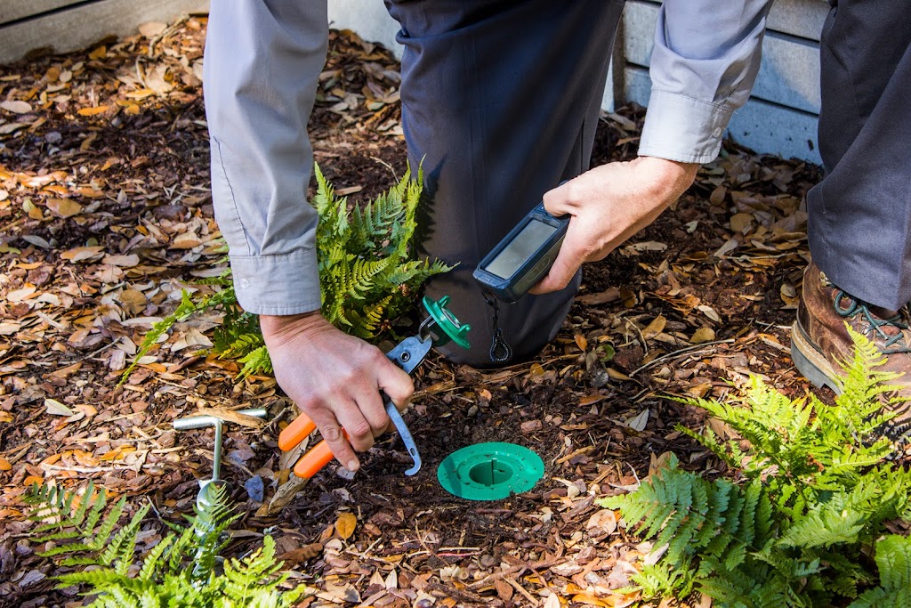 Terminix | 513 E Hebron St, Charlotte, NC 28273, USA | Phone: (704) 377-4991