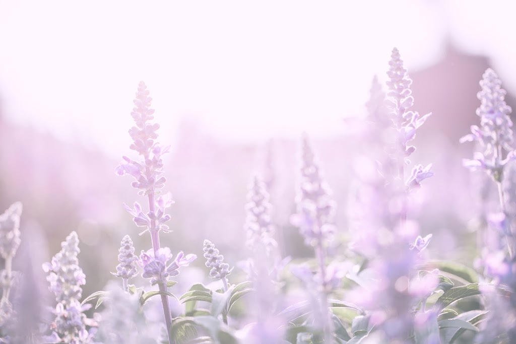 Flair Cleaners | 761 River Rd, Fair Haven, NJ 07704, USA | Phone: (732) 747-5255