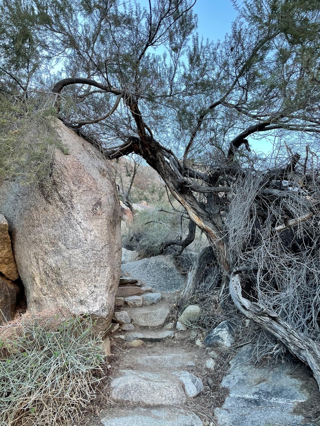 Borrego Palm Canyon Trailhead & Parking | Unnamed Road, Borrego Springs, CA 92004, USA | Phone: (760) 767-4037