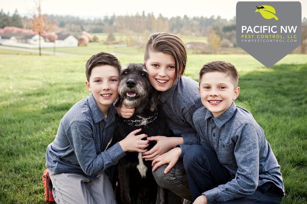 Pacific NW Pest Control | 117 NE 150th St, Vancouver, WA 98685, USA | Phone: (503) 405-1000