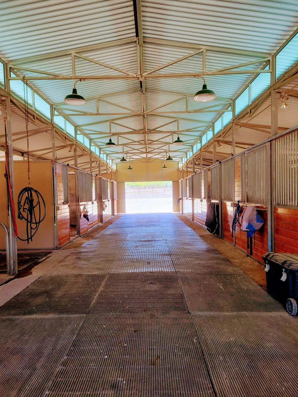 Horse Boarding & Training Murrieta | 43475 Tenaja Rd, Murrieta, CA 92562, USA | Phone: (951) 288-0521